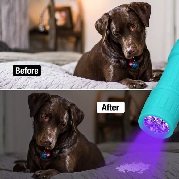 EverBrite 6-Pack Black Light LED Flashlight UV Mini Flashlight 9 LED Light NEW - Picture 6 of 8